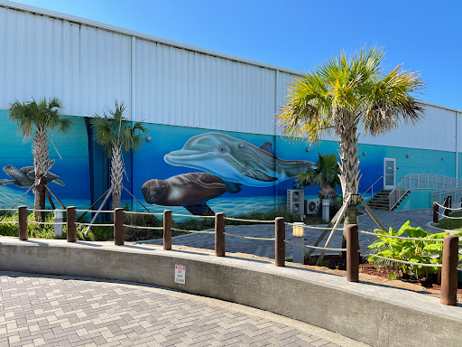The mural on the building reflects Pelican Underground Llc’s care for nature near their trusted repair site.