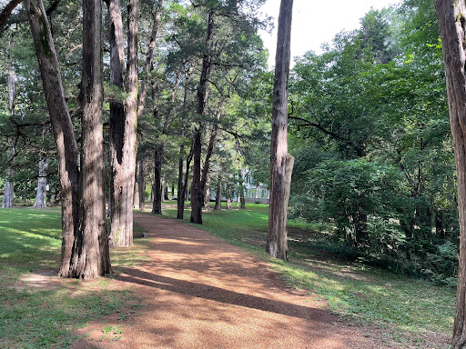 The image shows a peaceful area, suggesting how Pelican Underground Llc repairs pipes quietly underground.