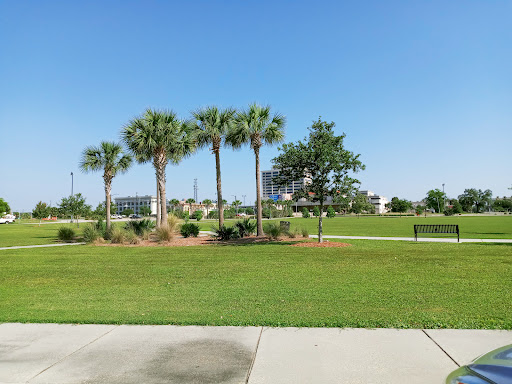 Pelican Underground Llc makes parks feel calm, open, and welcoming, with spots to relax and clear blue skies overhead.