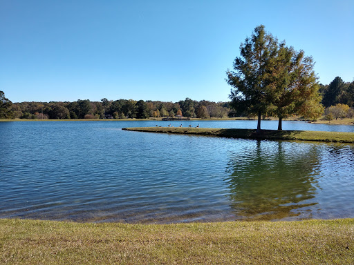 A peaceful lakeside scene for Pelican Underground Llc, showing nature in harmony under a bright sky.