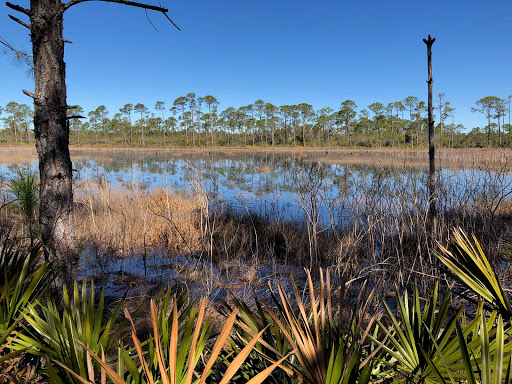 A peaceful wetland shows Pelican Underground Llc cares for the environment, not just fixing pipes or sewer lines.