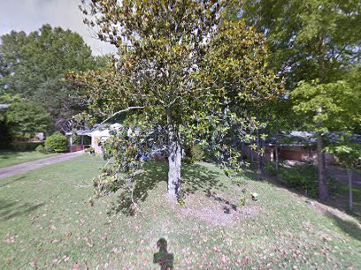 Pelican Underground Llc can fix sewers without digging up your yard, keeping everything looking nice and neat.